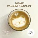 [타마르 바리스타 아카데미] 평택 바리스타 학원 추천...추출, 라떼아트 커피 원데이 클래스 받고 온 후기