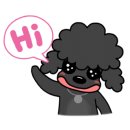 쿨 애견미용 이미지