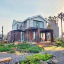 제주애월당귤 이미지