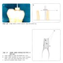 R+K치과기공소 | 치과 임상 서적 정리 - 이승종의 도해로 보는 근관치료 아틀라스 1,2장