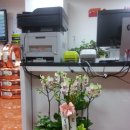 스피드메이트 이마트문현점 이미지