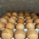 제암농장 이미지