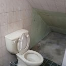 추냔이네 이미지