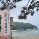 만성리해수욕장(자갈밭) 이미지