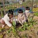 동부초교병설유치원 이미지