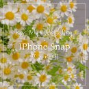 프롬라떼 | [결혼준비] 부산 아이폰 스냅 &#39;프롬라떼&#39; 계약 후기(짝꿍 구해요)