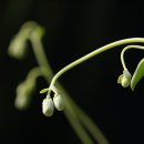 담아보기