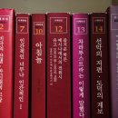경이로운 소피스트 이미지