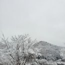 공작산비룡펜션