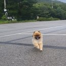 뭉짱