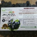 오팜