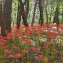 두루봉근린공원 이미지