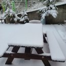 써니라이프 | 파주양로원 마음의 쉼표, 파주 써니라이프에서의 특별한 한 달