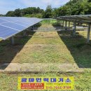 덕진태양광발전소 이미지