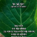 핸드폰 배경화면&잠금화면_20240609_빛의 삶을 살라!_요한일서 1장 9절_오순절 후 세 번째 주일 묵상_6월의 목련_우리 교회 정 이미지