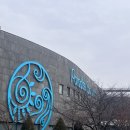 파라다이스스파도고 | 따뜻한 온천 속에서 즐기는 겨울 낭만, 파라다이스 스파도고 방문![파라다이스 스파도고 후기]