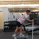 웰피티스튜디오