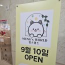 멍스월드 이미지