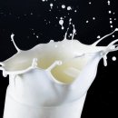 의관목장 이미지