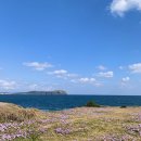 마메종민박 이미지