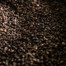 스타벅스 대전둔산로점 이미지