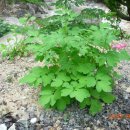 청수펜션 이미지