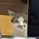 하이오커피군자역점