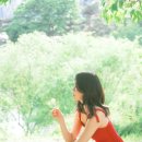 플랫더무드