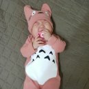 비니앙 네이버블로그