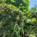 송지펜션 이미지