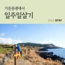 달멍스테이 | 최고의 계절, 올레에서 일주일살기🍁🌿