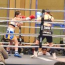 버팔로 복싱 이미지