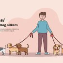 (신규)펫시터(산책·돌봄관리사) | 주목! 퇴근 후 &#39;펫시터/도그워커&#39; N잡으로 사랑주고...현실적인 방법 (플랫폼, 자격증, 세금, 리얼 후기)