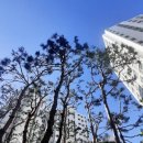 세곡중학교 이미지