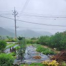 율이리농장 이미지