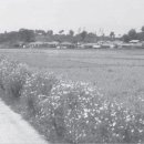 수원-1970 이미지