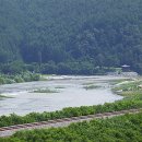 조한상측량설계사무소 | 귀촌 명당 찾는 법? '어디서'보다 '어떻게'가 우선인 이유