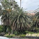 (주)칠성렌트카 이미지