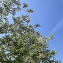 정이목장 이미지