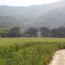 힐링도원 이미지