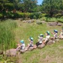 함평자연생태공원 이미지