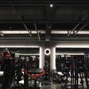 비무브짐24 야음점 이미지