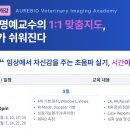 오수덕농장 데일리벳