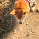 늘푸른농장2 이미지