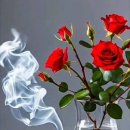 에이스 김진택 행정사 사무소 이미지