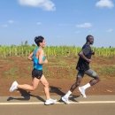 [올림픽의 과학]인간은 단거리보다 마라톤에 최적 이미지