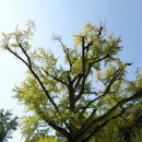 남원 개령암지 마애불상군 | 가을 구례 여행/천은사/개령암지 마애불상군/한 끼 기록