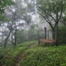 함평이야기 이미지