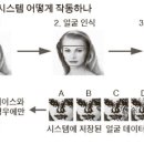 신탭