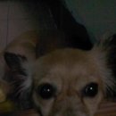 하이마트 앞 이미지